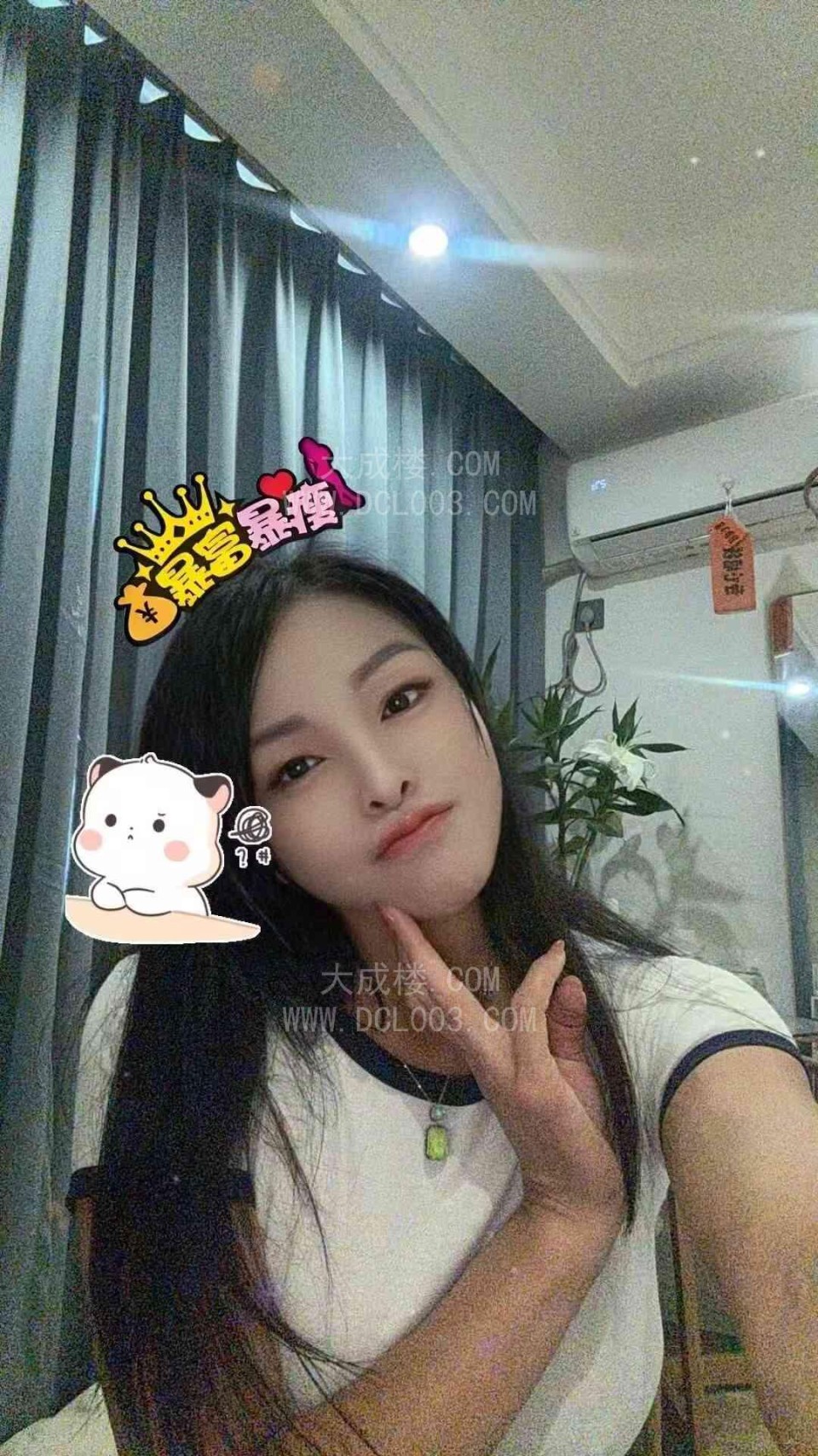 南京夫子庙依梦