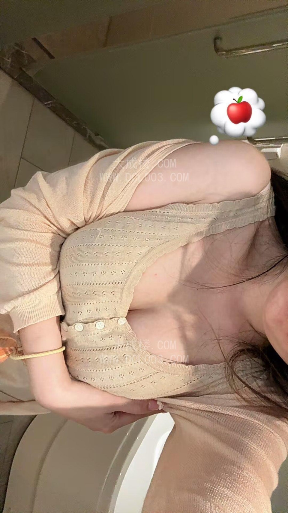 南山小白虎