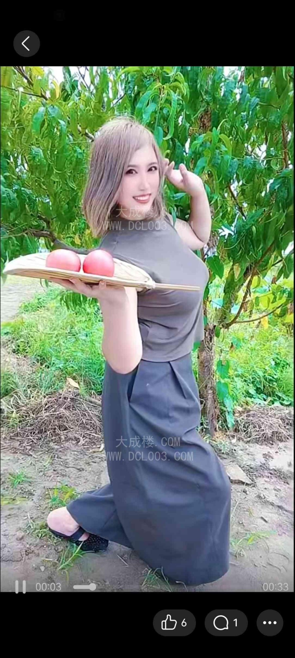 南通港闸叶子