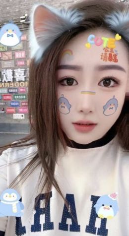 齐市菲菲