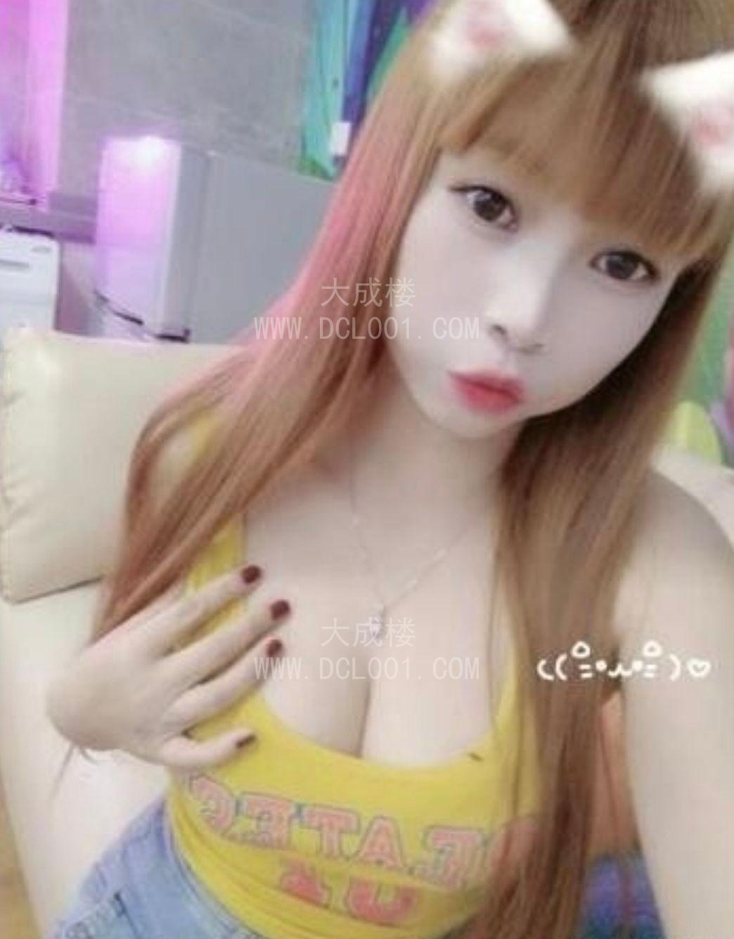顺德服务喵喵